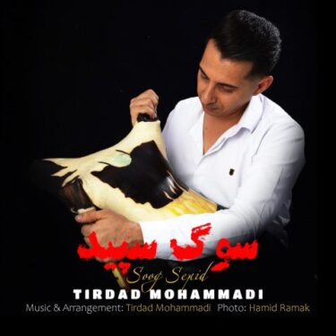 دانلود آهنگ جدید تیرداد محمدی سوگ سپید